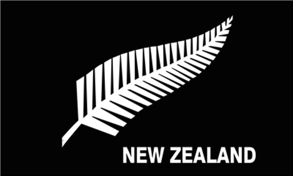 New Zealand Silver Fern Stylised