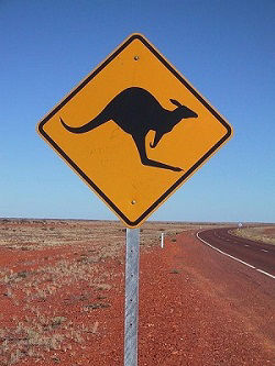 The iconic yellow kangaroo road sign, pictured here on the Stuart Highway in outback Australia