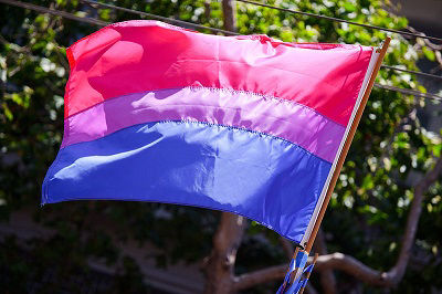 A Bi Pride flag flies