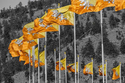 A row of Bhutan flags flying in Thimphu, the capital of Bhutan