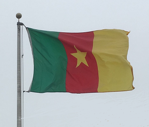 The flag of Cameroon flies
